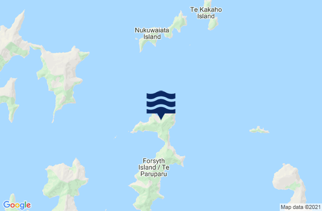 Mapa de mareas Forsyth Island (Te Paruparu), New Zealand
