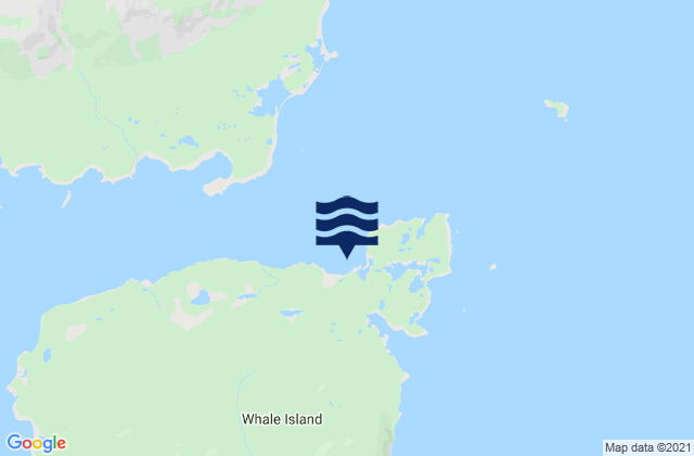 Mapa de mareas Fox Bay Whale Island, United States