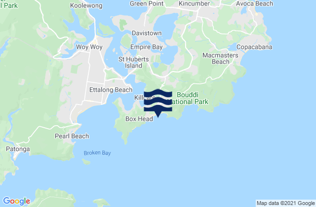 Mapa de mareas Killcare Beach, Australia