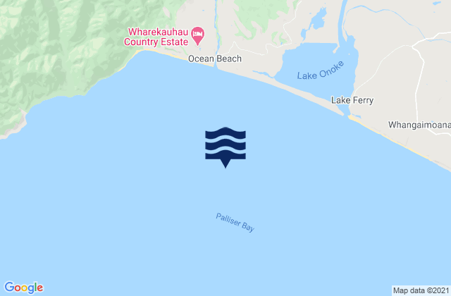 Mapa de mareas Palliser Bay, New Zealand