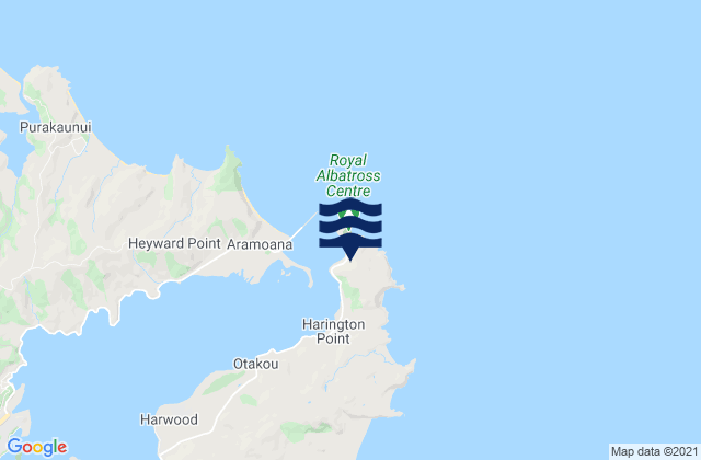 Mapa de mareas Taiaroa Head, New Zealand