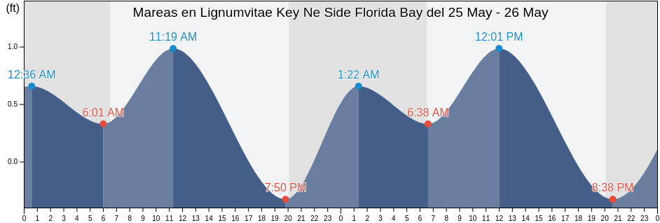 Mareas para hoy en Lignumvitae Key Ne Side Florida Bay, Miami-Dade County, Florida, United States