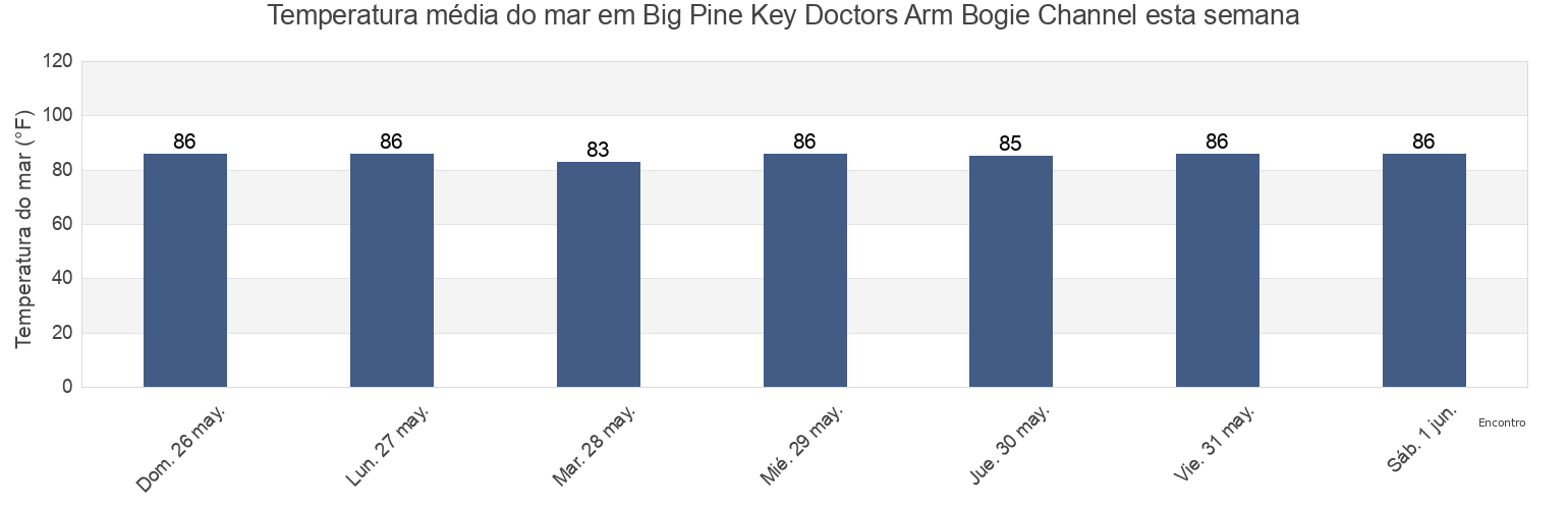 Temperatura do mar em Big Pine Key Doctors Arm Bogie Channel, Monroe County, Florida, United States esta semana