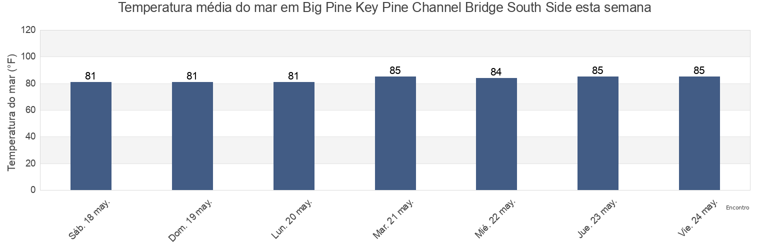 Temperatura do mar em Big Pine Key Pine Channel Bridge South Side, Monroe County, Florida, United States esta semana