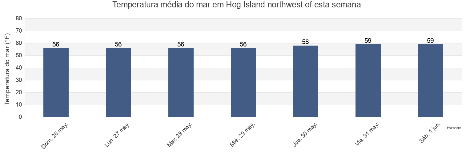 Temperatura do mar em Hog Island northwest of, Bristol County, Rhode Island, United States esta semana