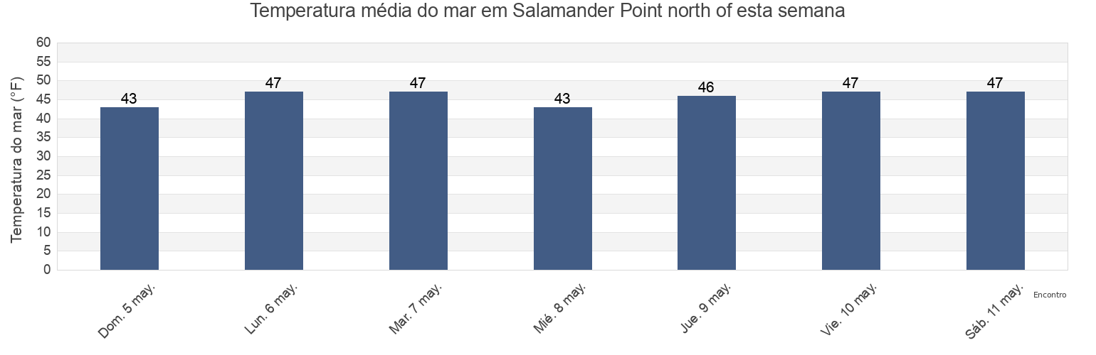 Temperatura do mar em Salamander Point north of, Rockingham County, New Hampshire, United States esta semana